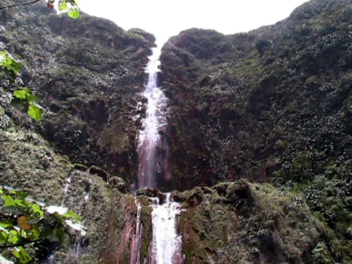20a - Chutes du Carbet 033.jpg